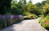 Ness Botanic Gardens